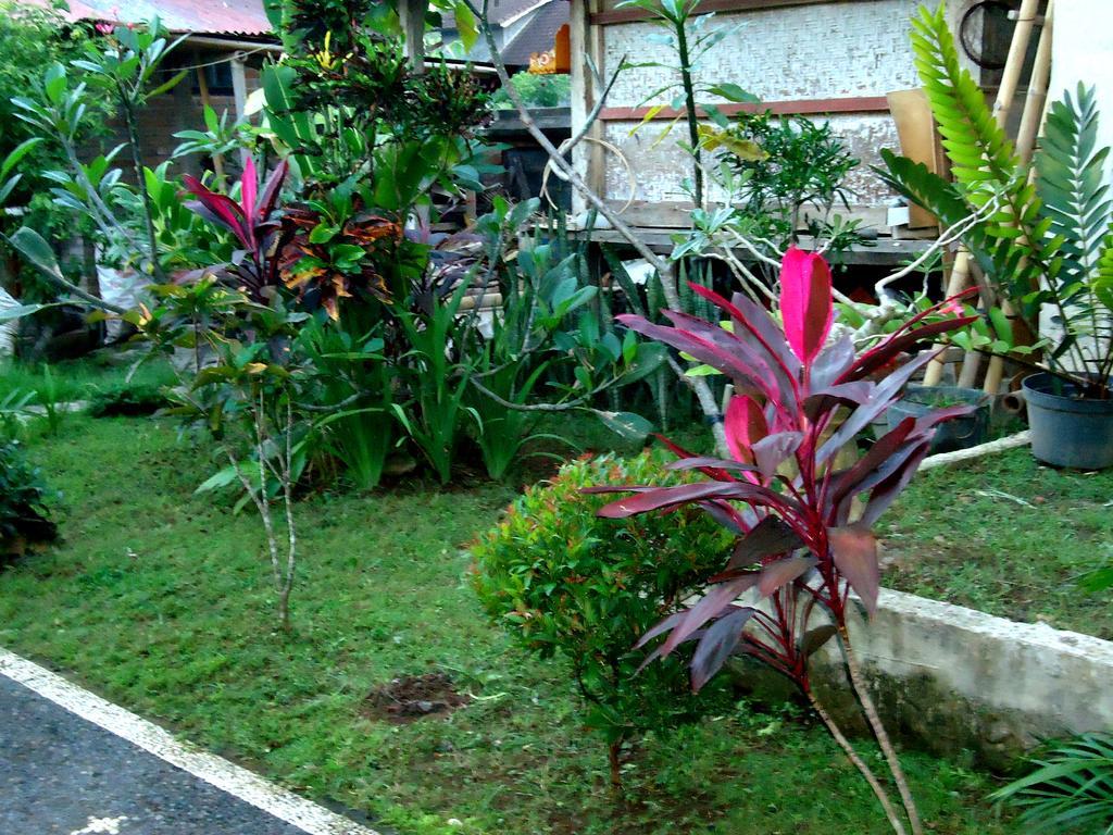 Dewa Put Guest House Ubud Exterior foto