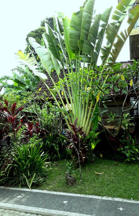Dewa Put Guest House Ubud Exterior foto